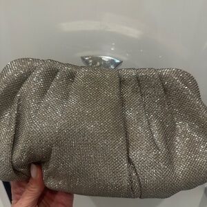 Scheilan metalic evening bag  with Dust Bag - NWOT